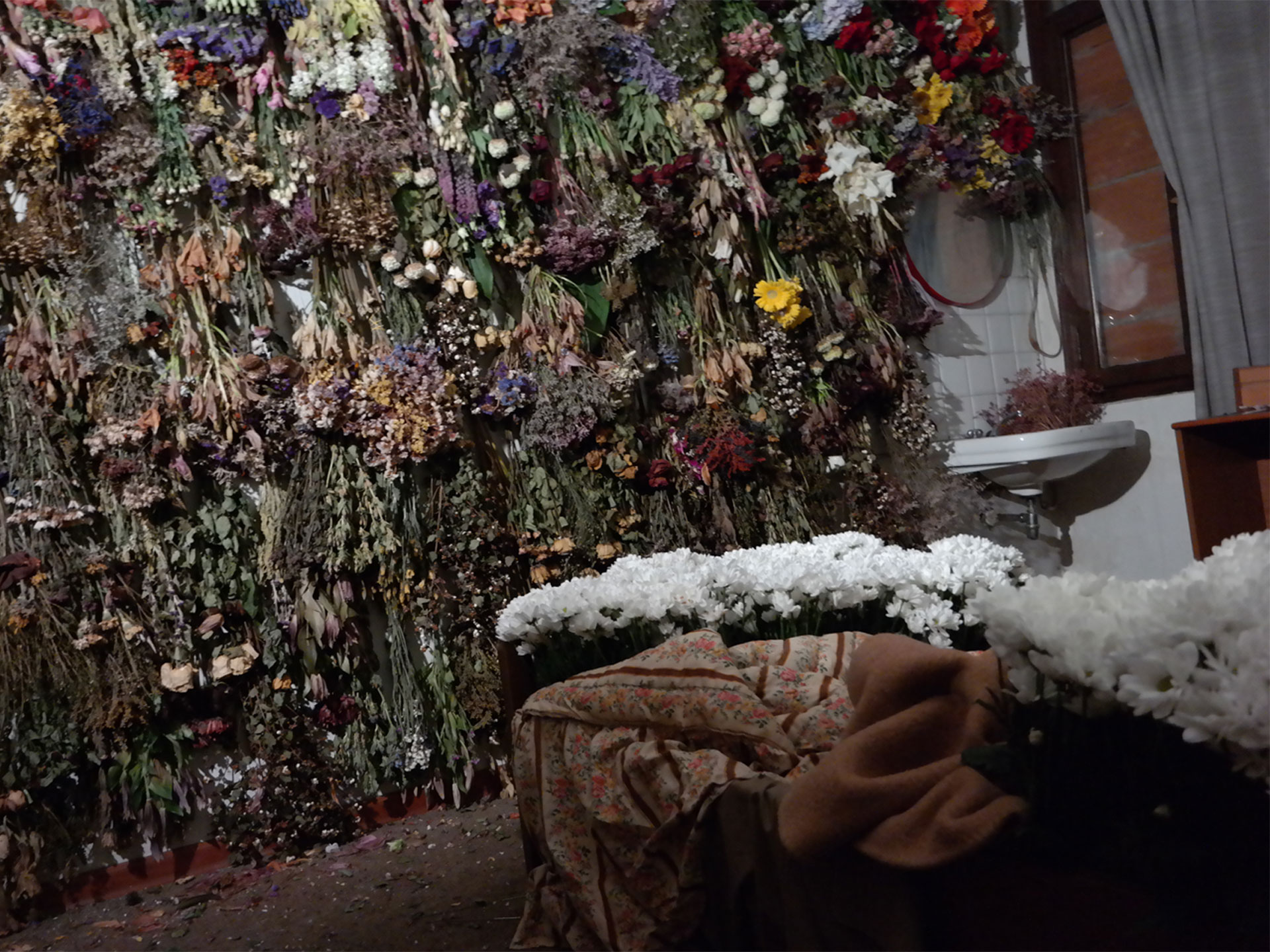 Colore_petali_profumo_sogni_Simone_Berno_galleria01