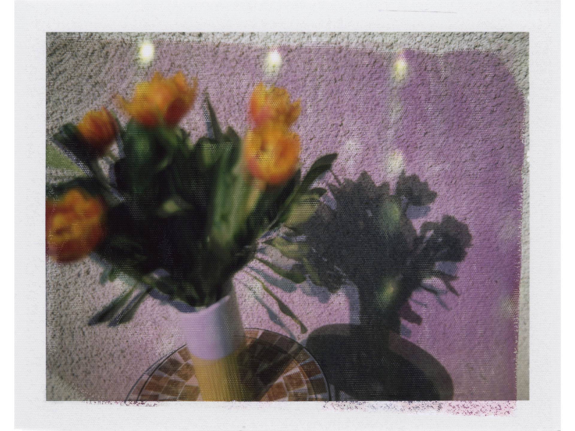 Perduto_amor_Ale_Di_Gangi_galleria001