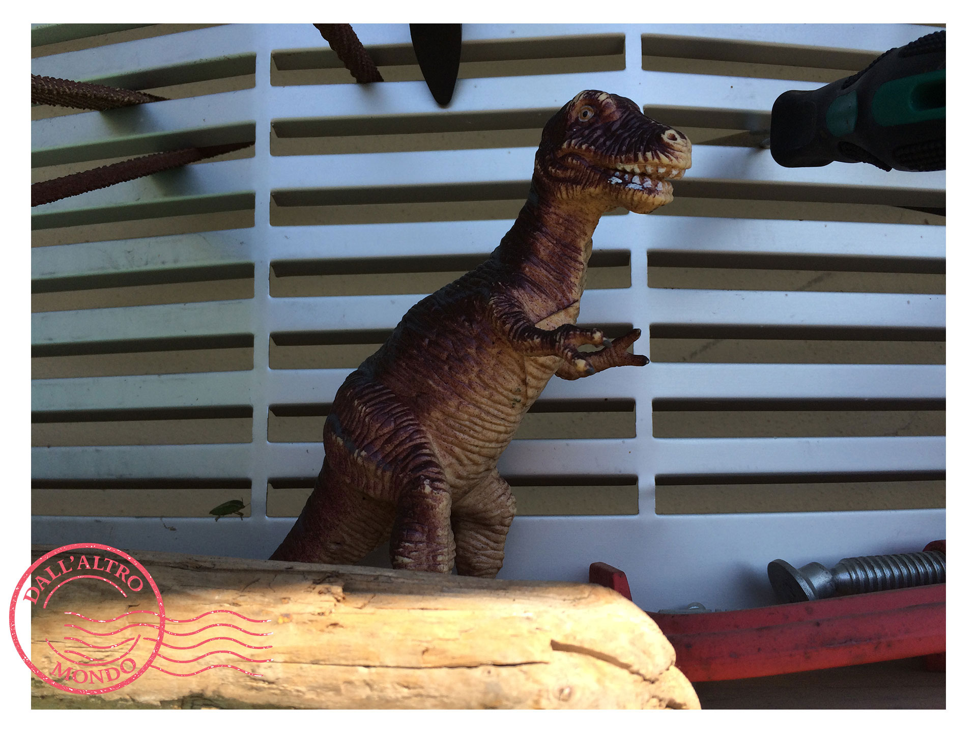 Dialoghi_cose_altro_mondo_Silvia_Cogo_galleria01